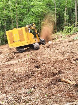 PGS-Tree-Grinder-050725-10
