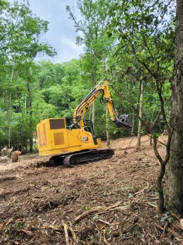 PGS-Tree-Grinder-050725-3