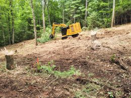 PGS-Tree-Grinder-050725-4