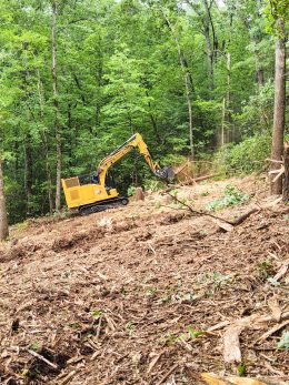 PGS-Tree-Grinder-050725-5