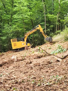 PGS-Tree-Grinder-050725-6