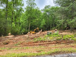 PGS-Tree-Grinder-050725-7