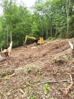 PGS-Tree-Grinder-050725-8