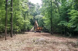 commercial-tree-grinder-progrind-13