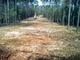 commercial-tree-grinder-progrind-24