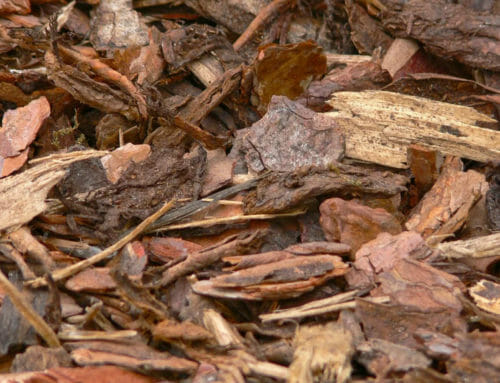 Create Mulch with this Easy Tool